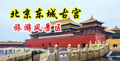 美女大战穴穴穴中国北京-东城古宫旅游风景区